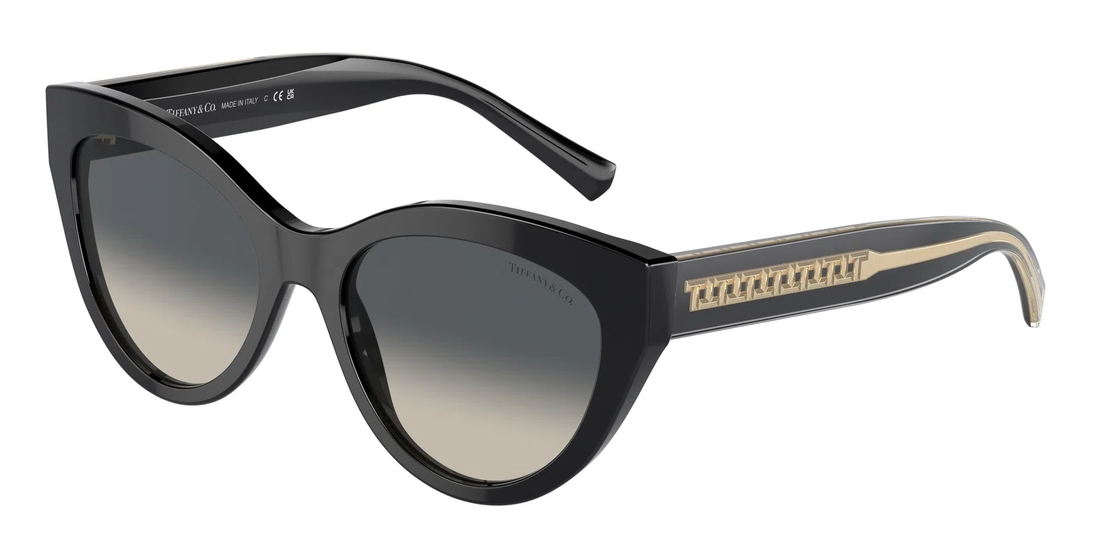Tiffany 4220F Sunglasses - view 4
